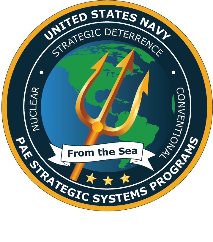 Portfolio Acquisition Executive Strategic Systems Programs